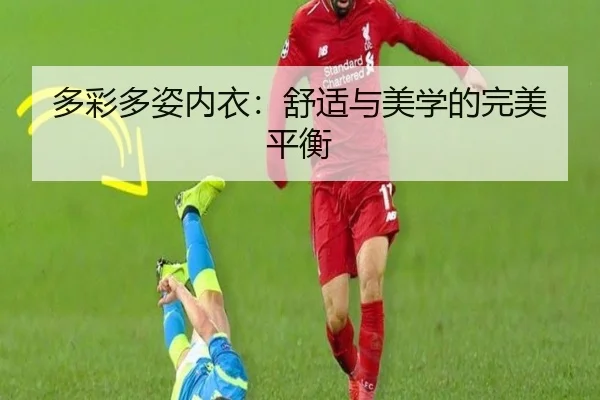 多彩多姿内衣：舒适与美学的完美平衡