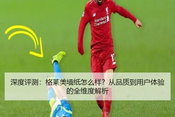 深度评测：格莱美墙纸怎么样？从品质到用户体验的全维度解析